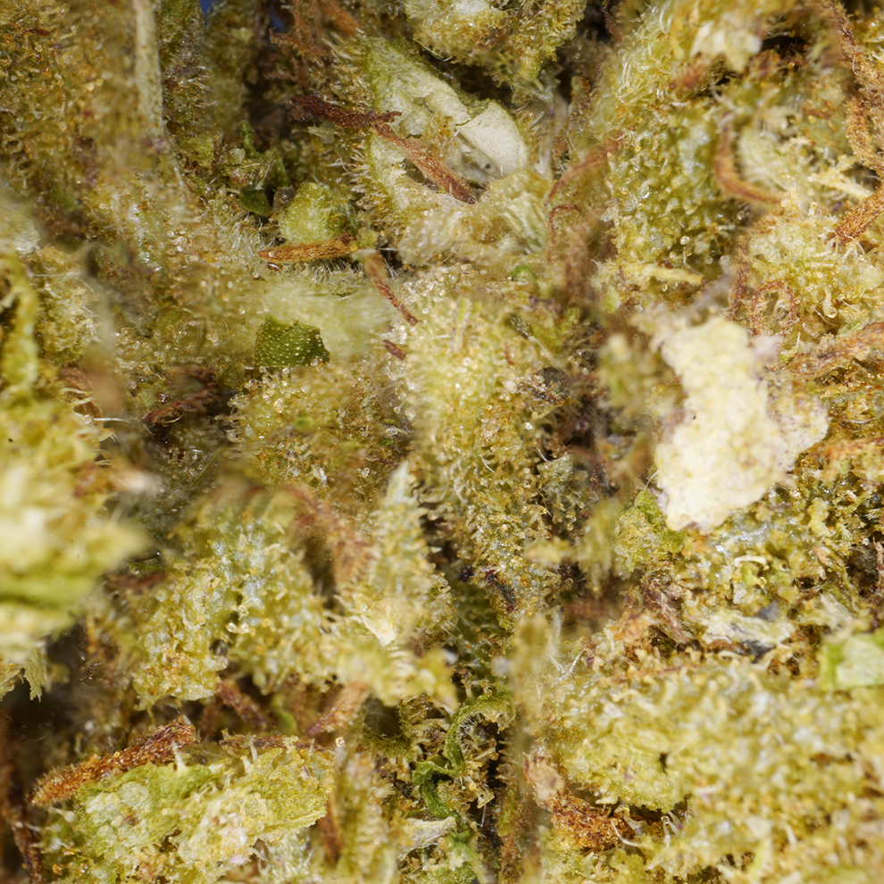 Northern Lights CBD (Greenhouse) ⭐⭐⭐⭐