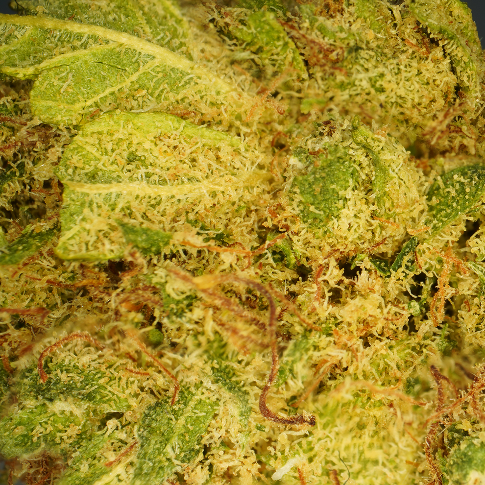 L.A Cali CBD (hydroponique) ⭐⭐⭐⭐⭐