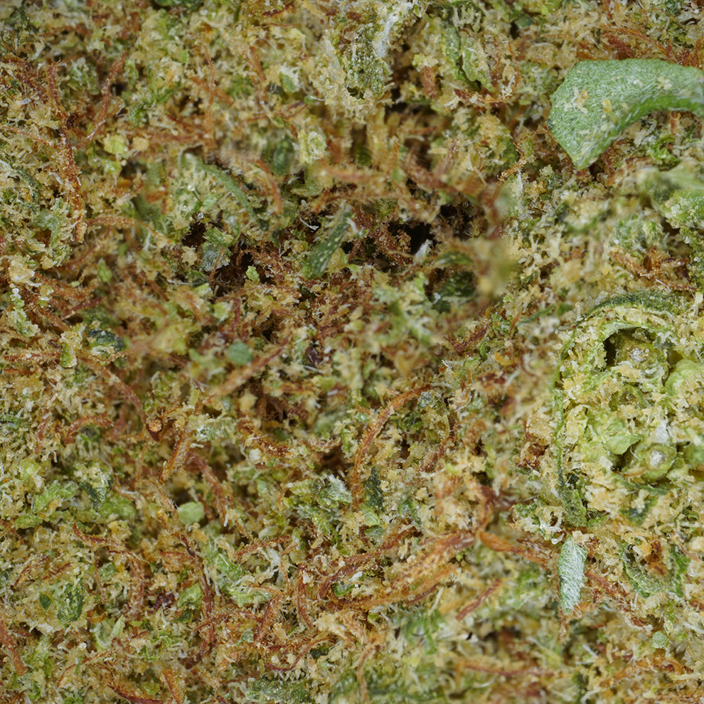 Kryptonite CBD (hydroponique) ⭐⭐⭐⭐⭐