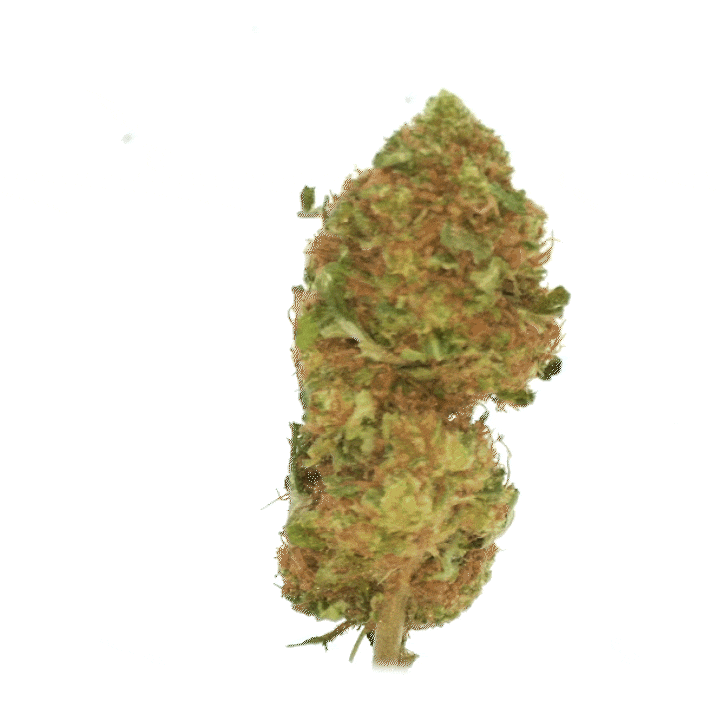White Widow CBD (indoor) ⭐⭐⭐⭐