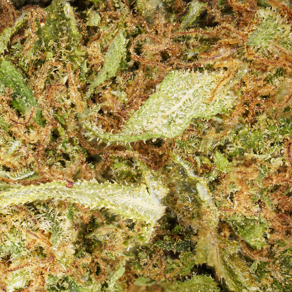 White Widow CBD (indoor) ⭐⭐⭐⭐