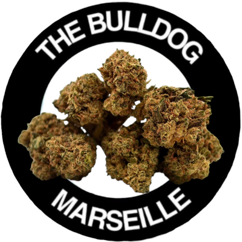 100g Petites Têtes Amnesia (Greenhouse) ⭐⭐