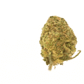 Alien Kush CBD (Hydroponique)   ⭐⭐⭐⭐⭐