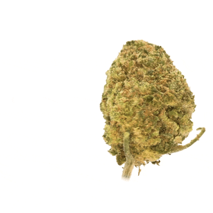 Alien Kush CBD (Hydroponique)   ⭐⭐⭐⭐⭐