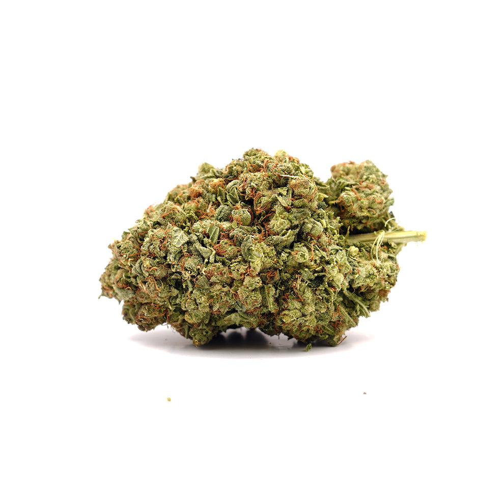 Critical CBD (hydroponique)       ⭐⭐⭐⭐⭐