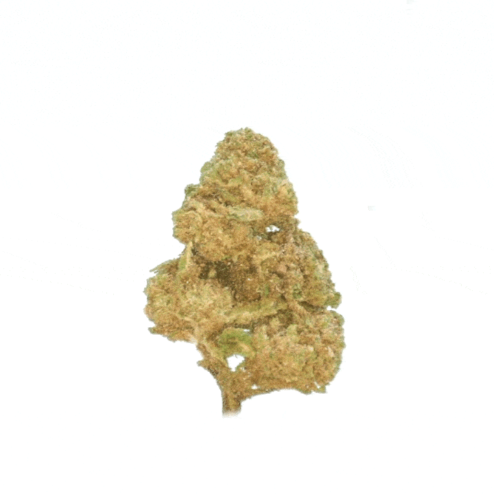 Cookie Kush CBD (indoor) ⭐⭐⭐